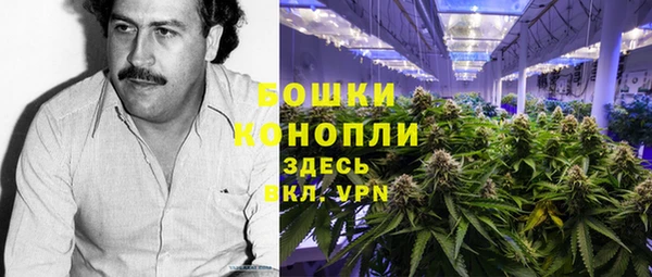 spice Алексеевка