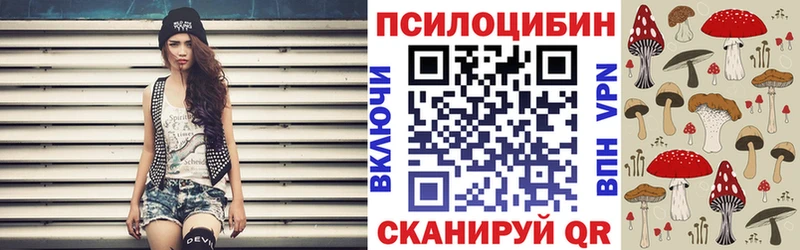 как найти наркотики  Пермь  Псилоцибиновые грибы Psilocybe 