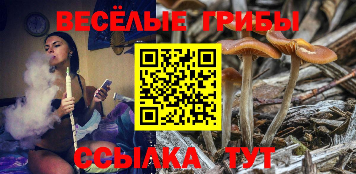 Пермь  Псилоцибиновые грибы Magic Shrooms  Вход с VPN  Галлюциногенные грибы Psilocybe 