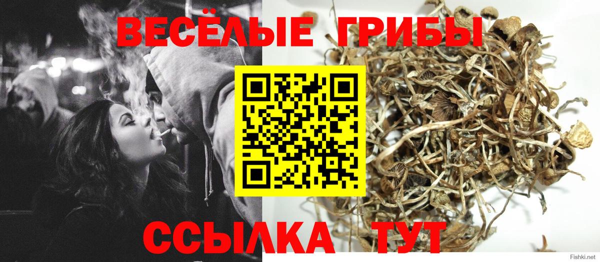 Галлюциногенные грибы MAGIC MUSHROOMS Пермь